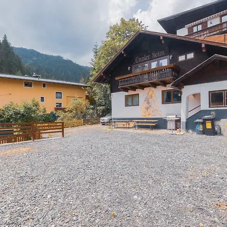Ferienhaus Schmitten - Steinbock Lodges *
